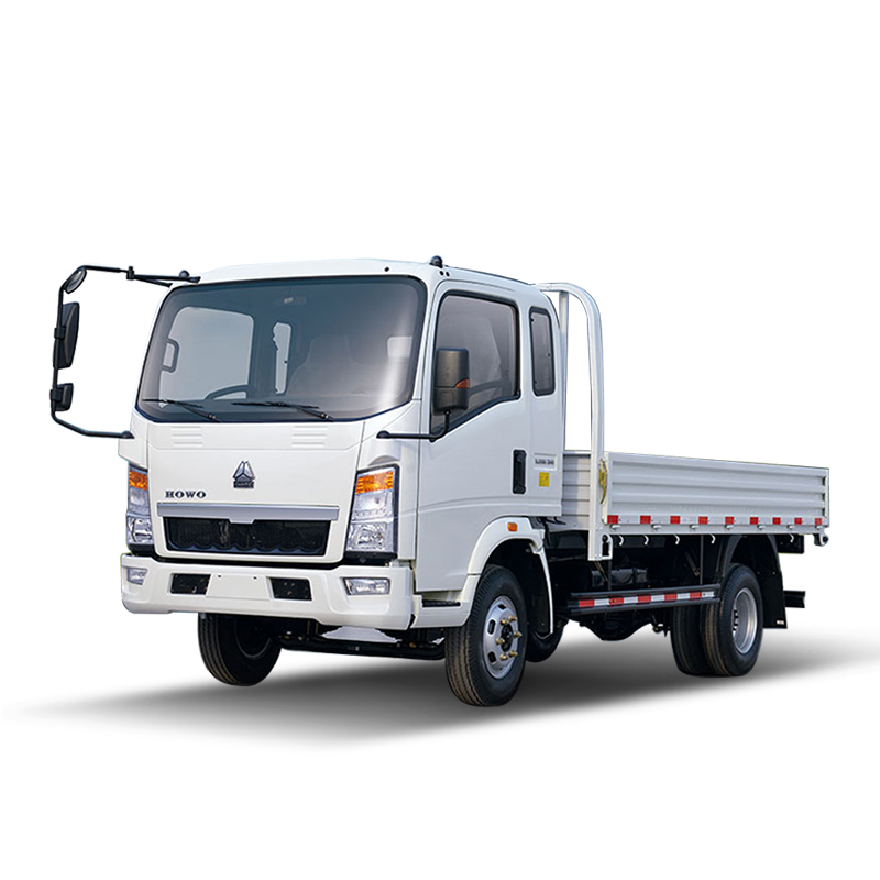 Howo Light Cargo Truck